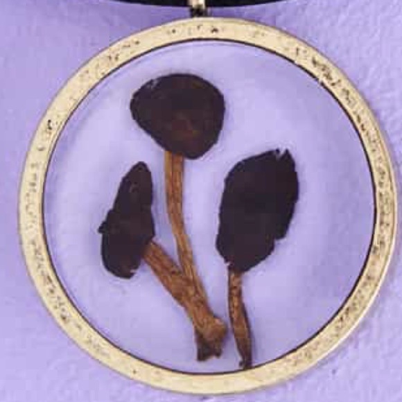 Pressed Mushroom Necklace, NWT - Picture 3 of 3
